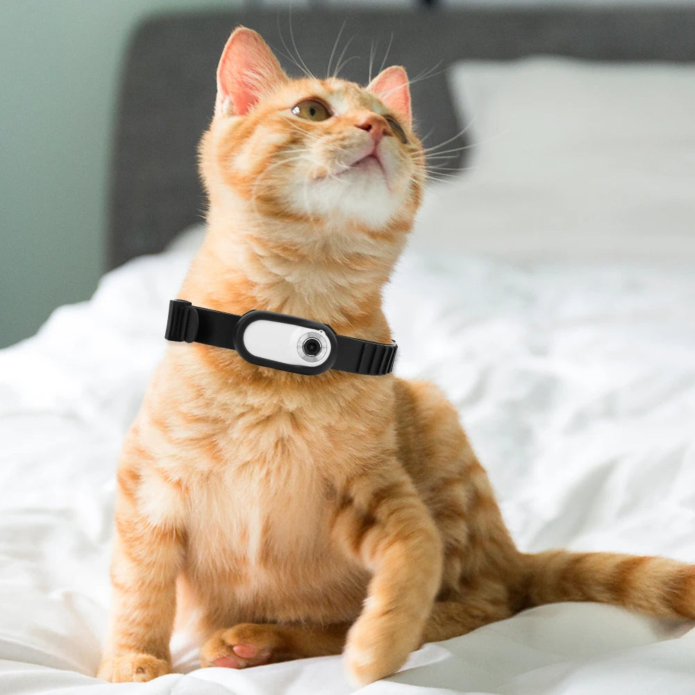 Kamera Halsband für Katzen und Hunde